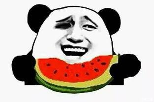 带你去吃瓜瓜哥视频 朝阳天空成惊艳,带你去吃瓜瓜哥视频中的朝阳奇观