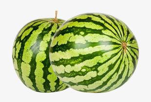 52每日大瓜视频