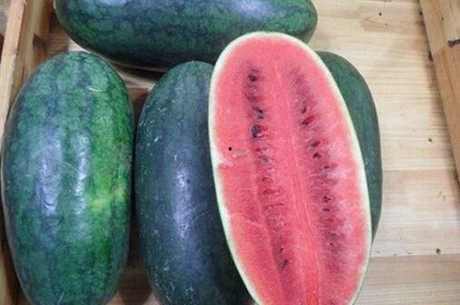 网红黑料网站.北京朝阳吃瓜,北京朝阳吃瓜网站独家爆料