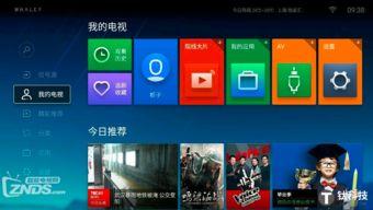 独家爆料在线观看免费更新时间.网曝热门事件2024网页版,独家爆料！热门事件2024网页版免费更新时间揭秘